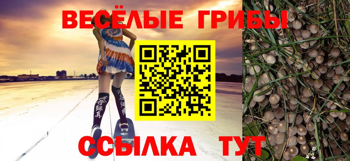 Вязники  Псилоцибиновые грибы GOLDEN TEACHER  Вход с VPN 